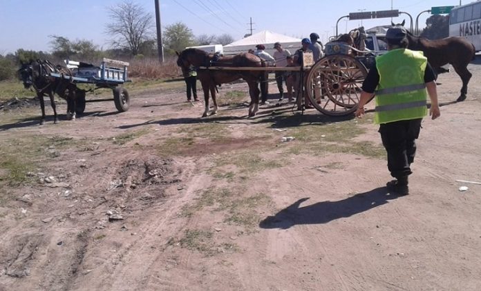 75° Peregrinación Gaucha Puesto de Control