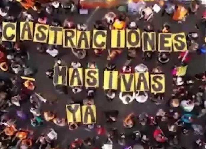 VesPA Castraciones animales