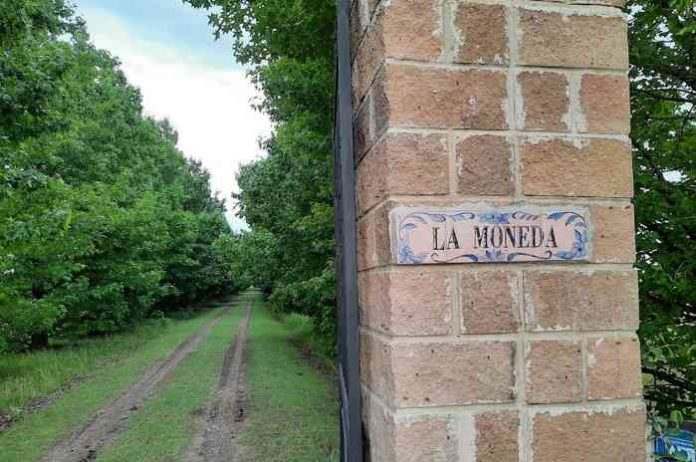 Haras La Moneda (1)