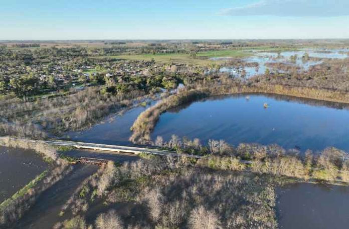 Olivera crecida río Luján 18 mayo 2025