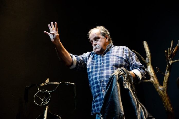 Nacho Vavassori Perros