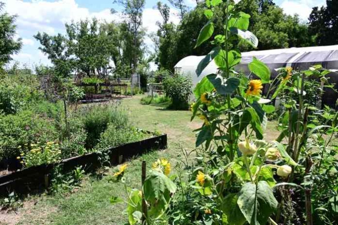 Vivero Municipal