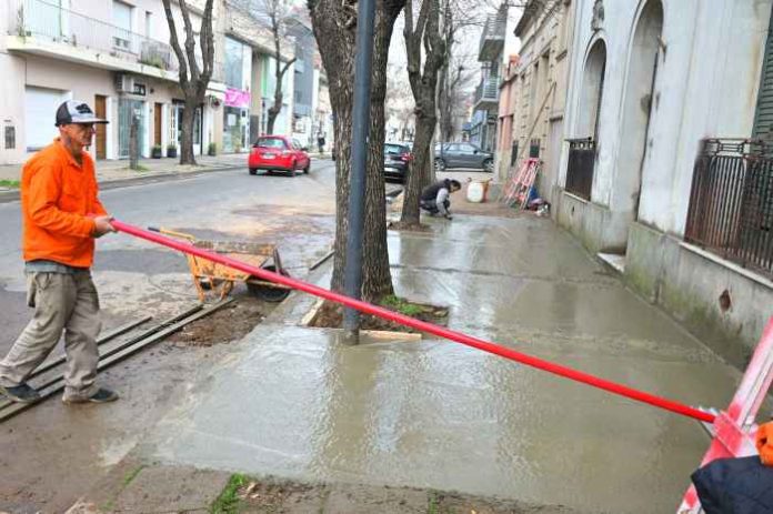 Veredas centro de la ciudad