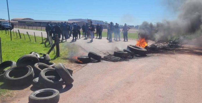 Cerámica Cortines Despidos Bloqueo Fábrica 1