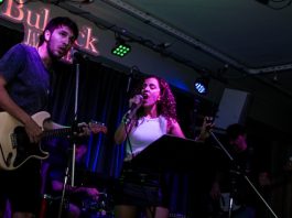 Artistas locales se unen en una noche a beneficio de De la Nada