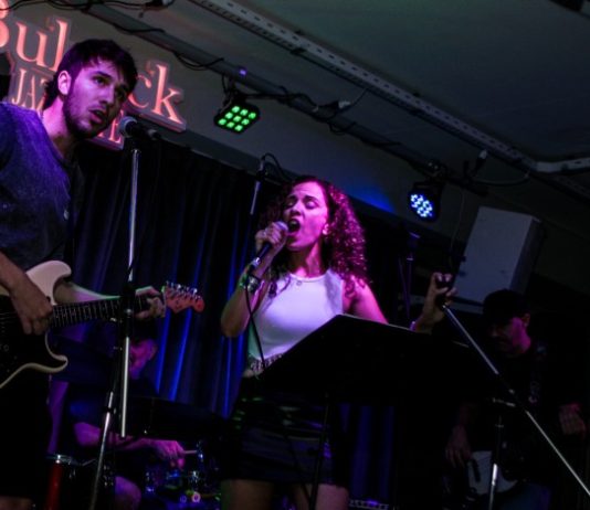 Artistas locales se unen en una noche a beneficio de De la Nada