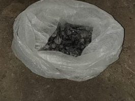 Dos aprehendidos tras allanamientos antidrogas en el barrio Padre Varela