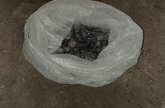 operativo antidroga Padre Varela